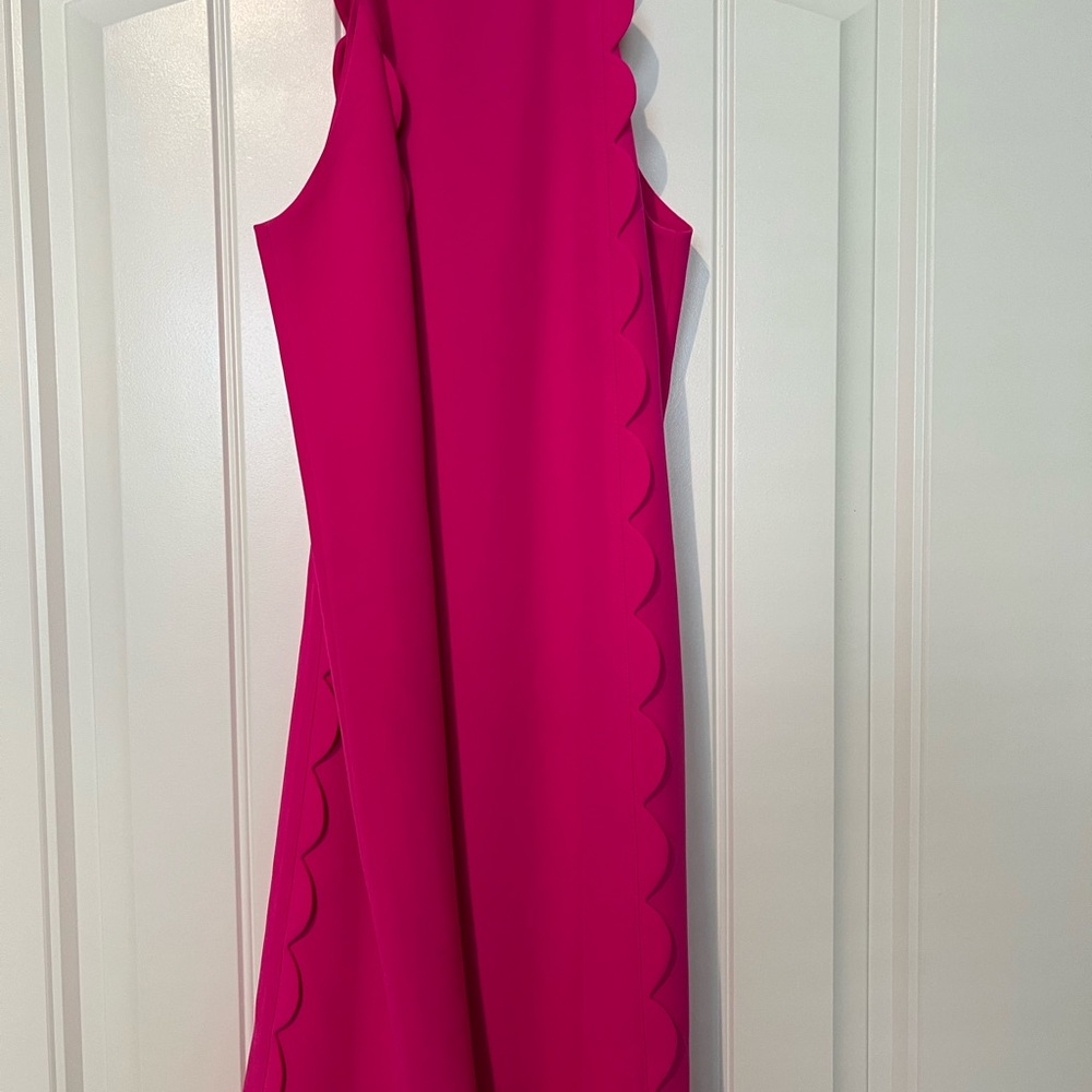 NWOT Ted Baker swing dress
